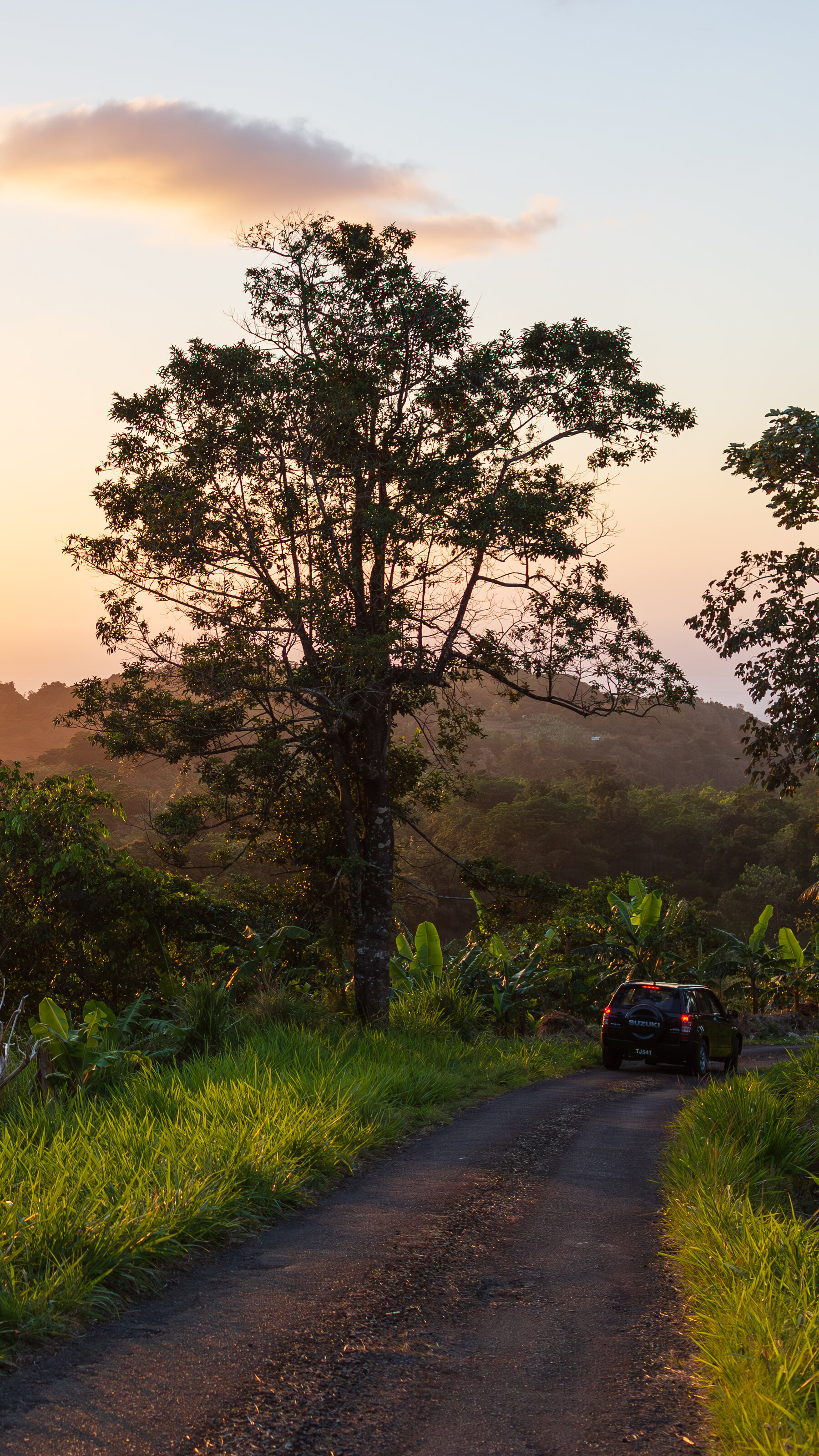 A one-lane road leads through a lush mountainous scene, with a S.U.V. driving along it near the edge of the frame in the distance. The sun is low on the horizon, and the sky is a mix of blues and yellows and reds.