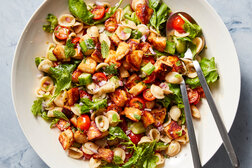 Image for Orecchiette Salad With Halloumi Croutons