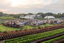 Top, the Chatham Bars Inn on Cape Cod, which features an eight-acre farm, hosts 75 to 100 weddings annually. 