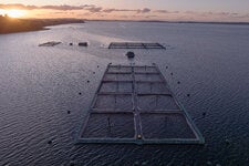 A salmon farming center in Rilán, looking towards Curaco de Vélez, Chiloé Island.