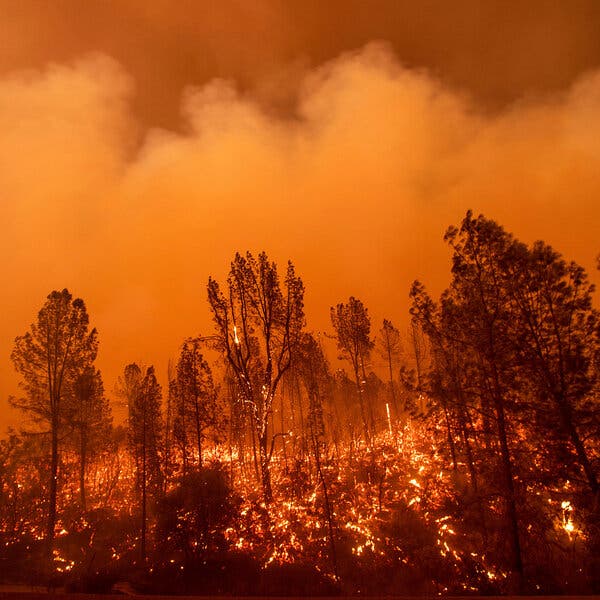 Orange fire covers the ground while a plume of smoke fills the sky.