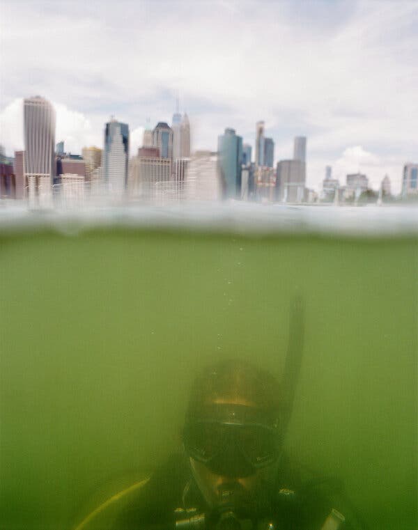 A diver submerges in the water with the Manhattan skyline in the background.