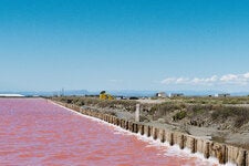 The salt pans of the Camargue region of France, like this one near the town of Aigues-Mortes, glow a brilliant pink in the summer months because of microscopic shrimp.