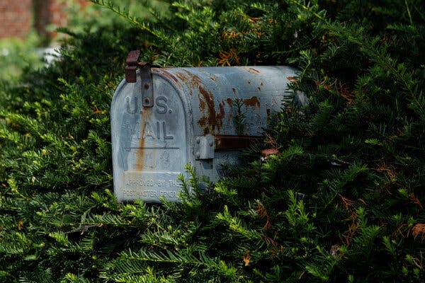 A metal mailbox poking out of a big green bush.