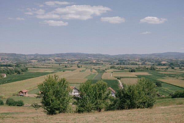 A view over a valley with trees and fields.