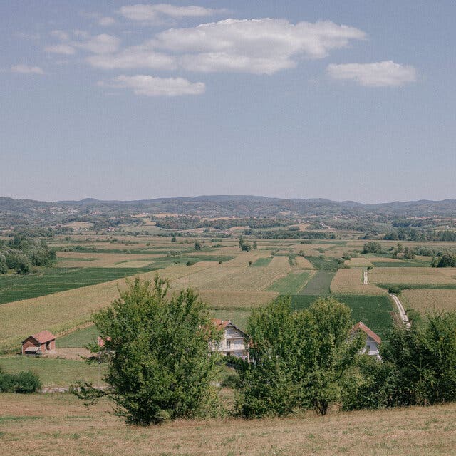 A view over a valley with trees and fields.