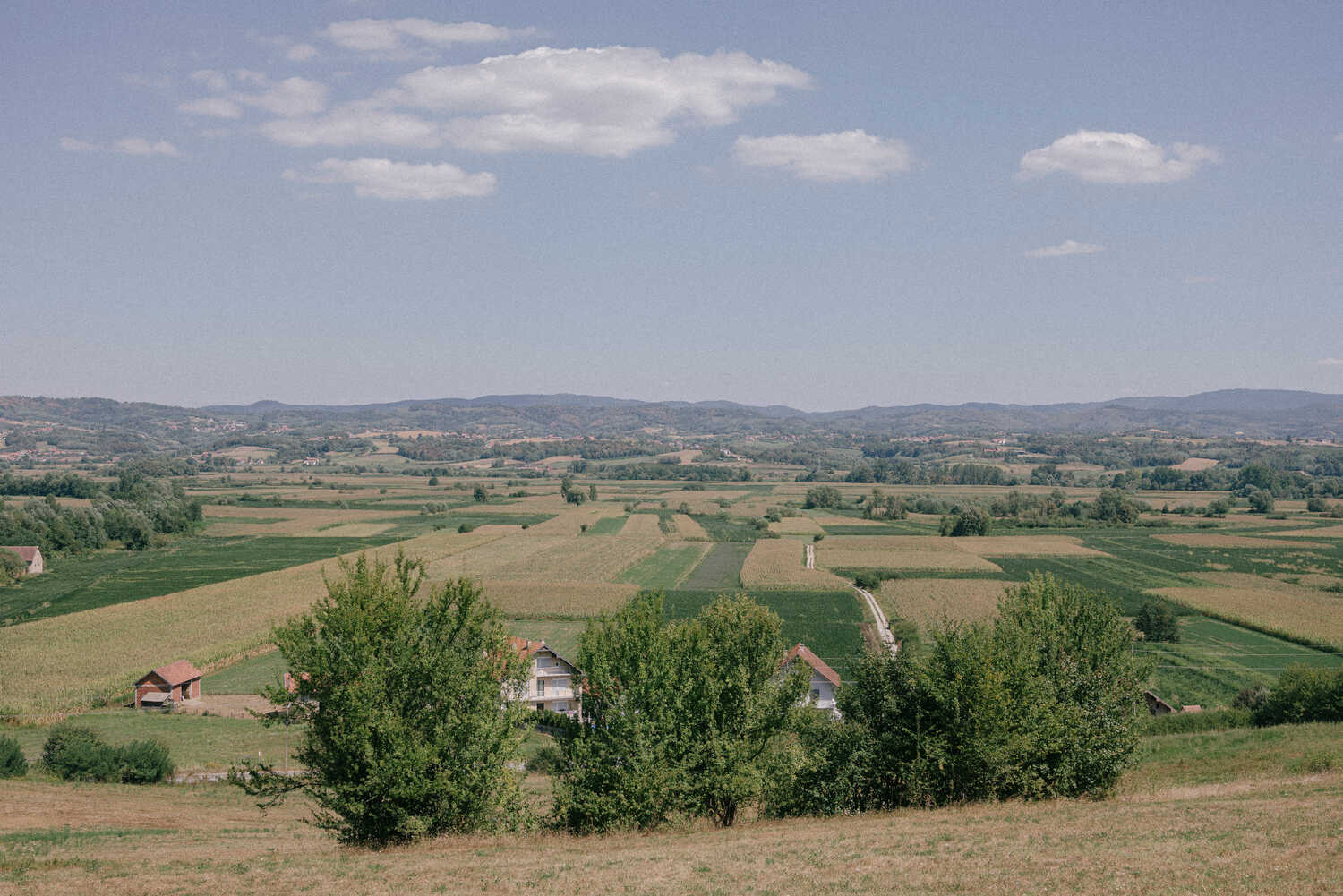 A view over a valley with trees and fields.