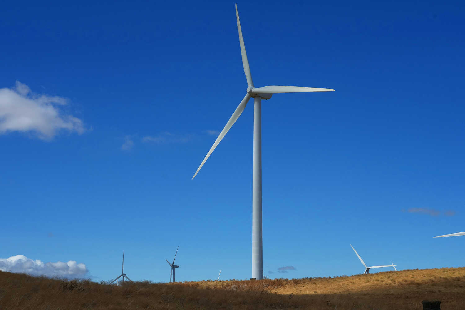 Wind turbines in Solano County, Calif. More than 20 states will require utilities to get their electricity from carbon-free sources in the coming decades.