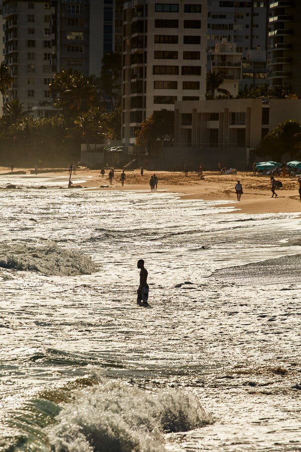 A person walking in the water, close to the shore.