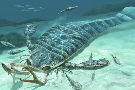 An artist’s impression of Jaekelopterus rhenaniae, a sea scorpion that lived approximately 390 million years ago and is one of the largest arthropods ever discovered.