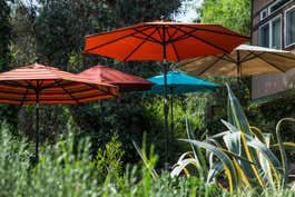 Five patio umbrellas tested shown setup outdoors side by side.