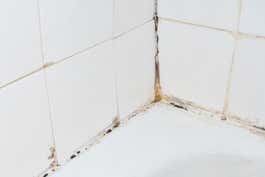 A close-up of white bathroom tiles in a corner that are grimy and stained, especially in between the tiles.